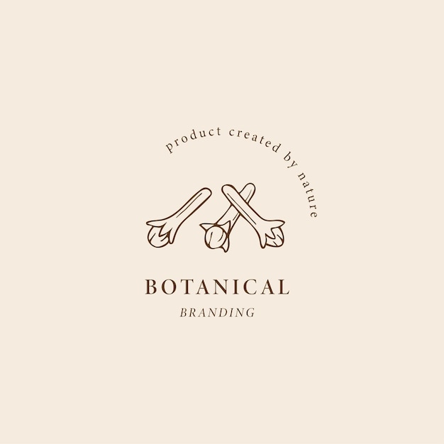 Line art clove logo Botanical drawing