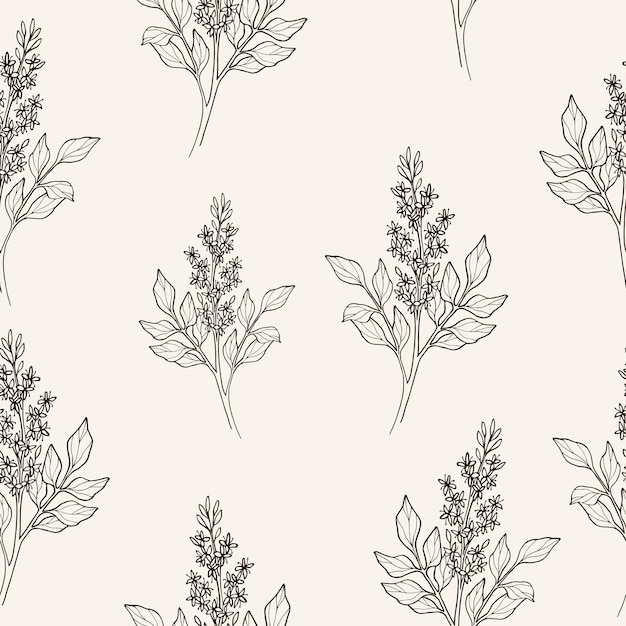 Line art copaiba background