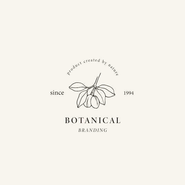 Line art copaiba logo botanical drawing