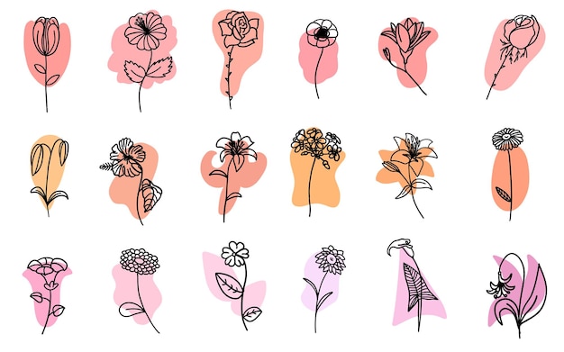 Линия искусства каракули цветы векторные растения цветочный набор изолированы на белом фоне Плоский стиль иллюстрации графического дизайна
