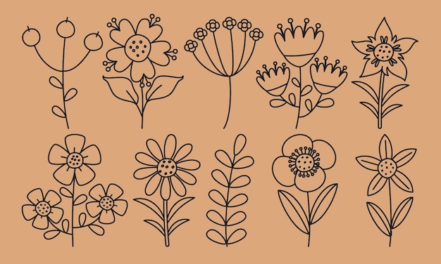 Line Art Drawing Of Flowers And Plants