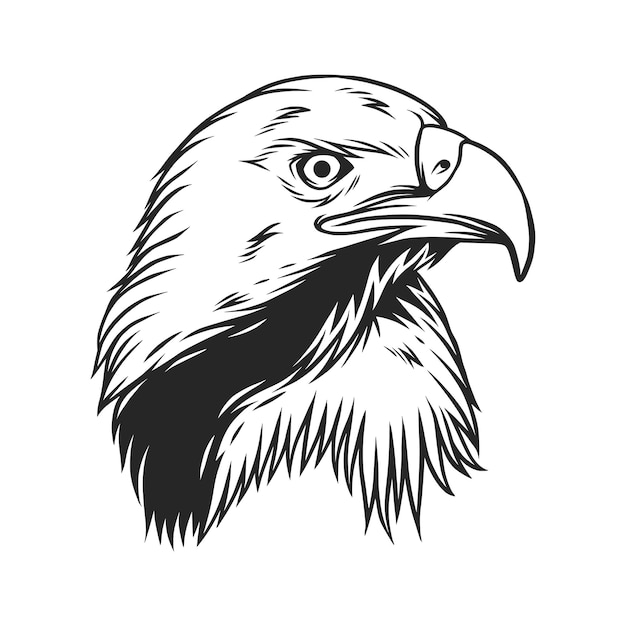 Line art eagle mascot design illustration