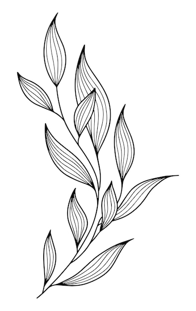 Vector line art elegant leaves in engraving style
