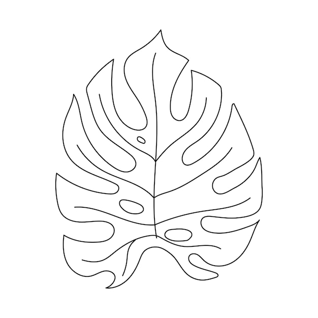 라인 아트 꽃과 식물 미적 손으로 그린 디자인 요소
