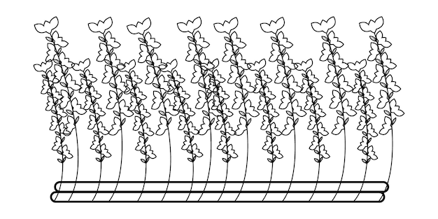 Vector line art flower design