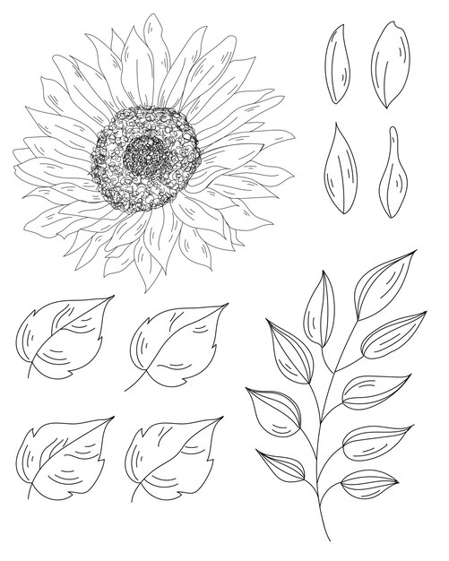 line art flower and leaves botanic minimalism vector