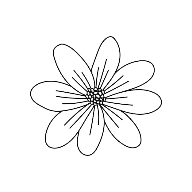 Line art flower and plants aesthetic hand drawn design elements