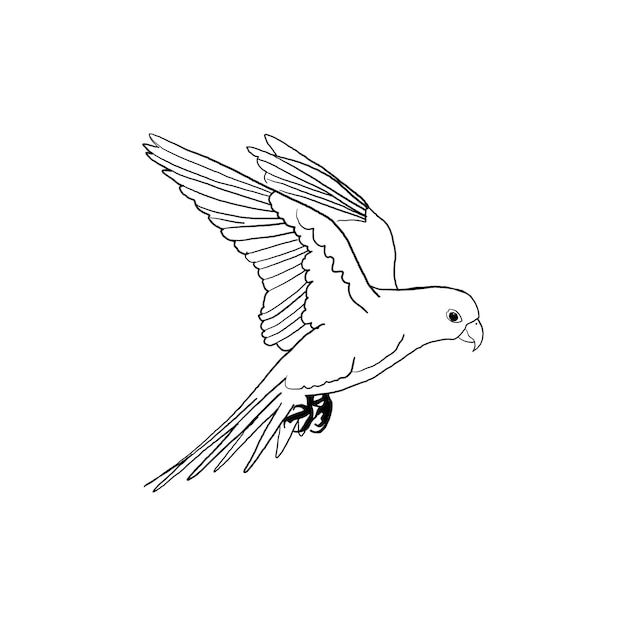 Vector line art of flying bird