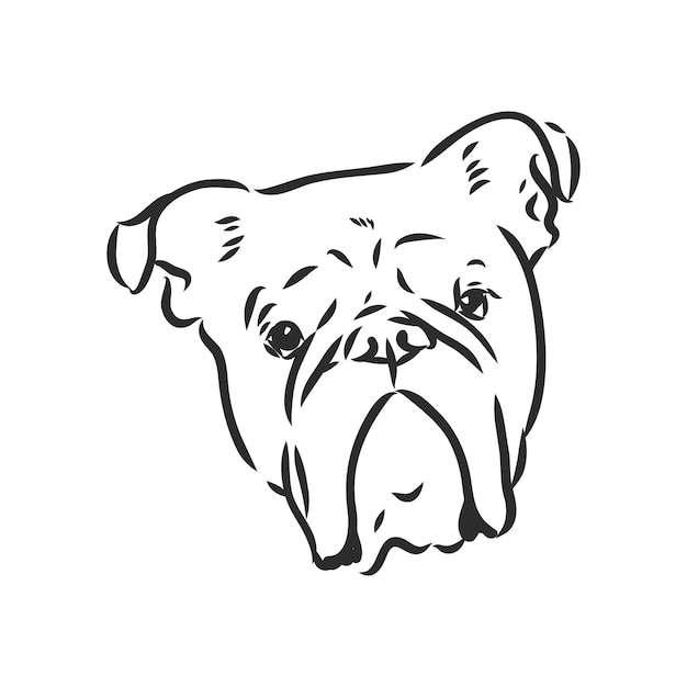 Line art del bulldog francese con tre differenze di disegno vettoriale del bulldog del viso