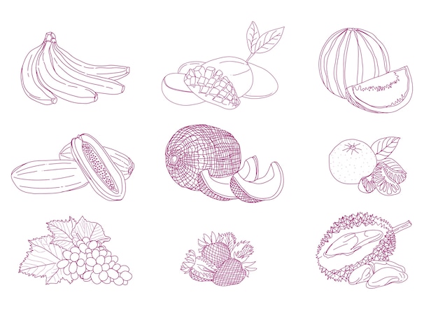 Line art Fruit set