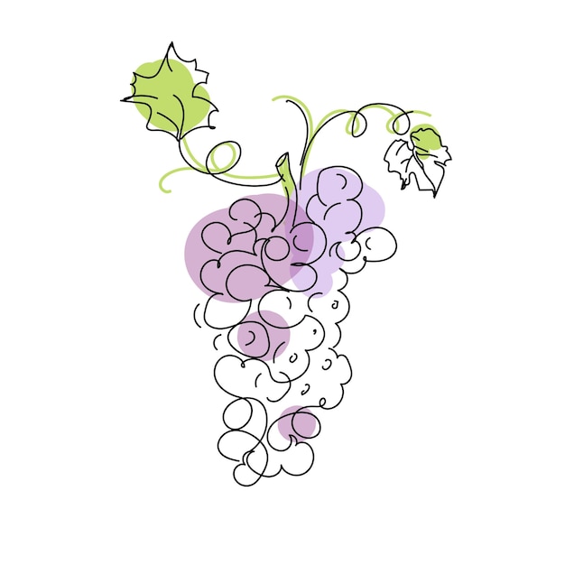 Line art grape branch in doodle style isolated on white backgroundvector food illustration