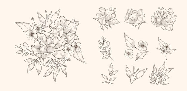 Line art hand drawn blooming flowers set