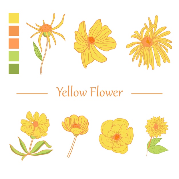 Vector line art hand drawn yellow flower collection