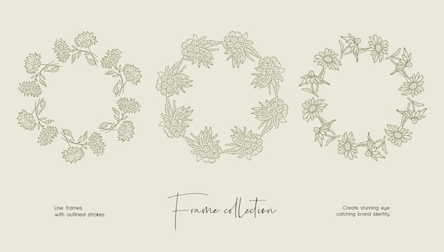 Line art illustration collection of decorative vector frames for branding or logo