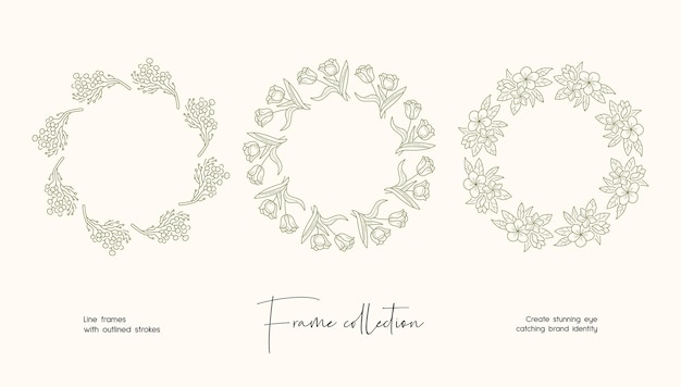 Line art illustration collection of decorative vector frames for branding or logo