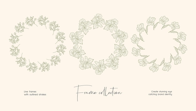 Vector line art illustration collection of decorative vector frames for branding or logo