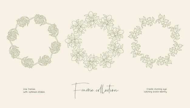 Line art illustration collection of decorative vector frames for branding or logo