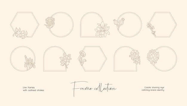 Line art illustration collection of decorative vector frames for branding or logo