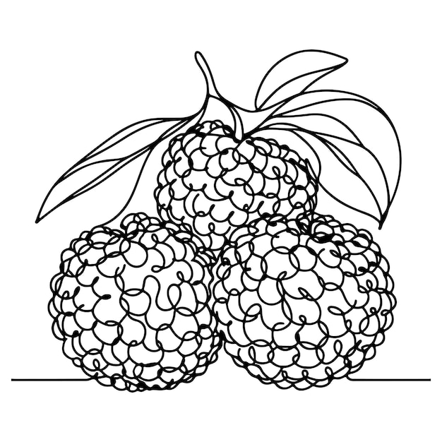 line art illustration of lychee