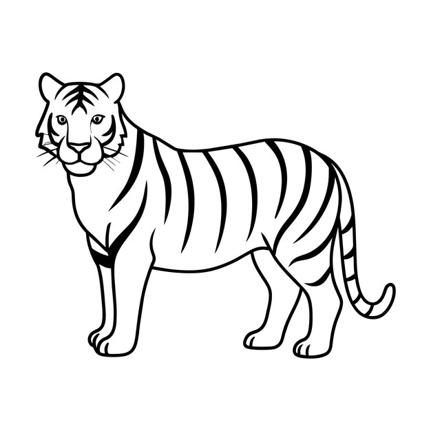 Вектор Линейная иллюстрация тигра в черно-белом