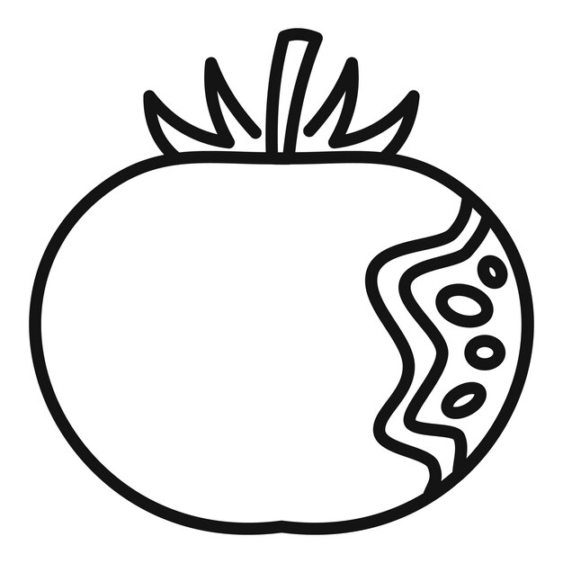 Vector line art illustration of a pomegranate