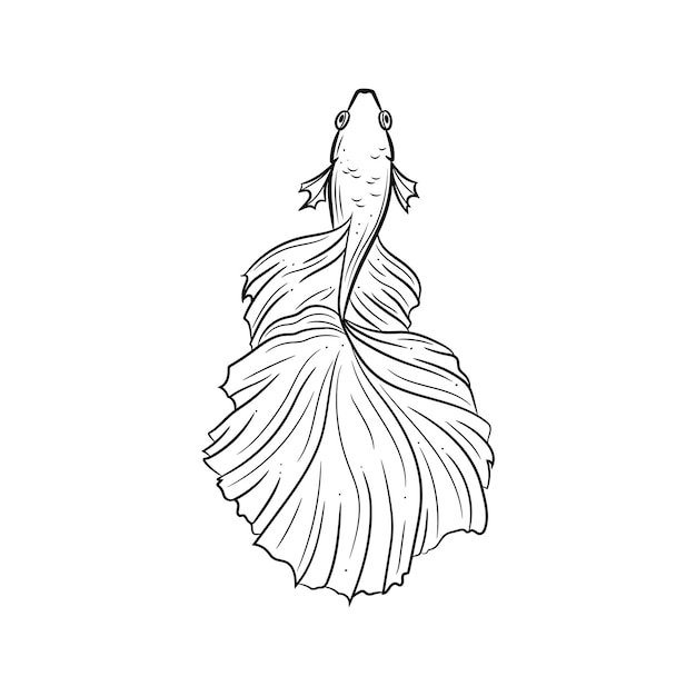 Line art illustration of a siamese fighting fish also known as betta fish