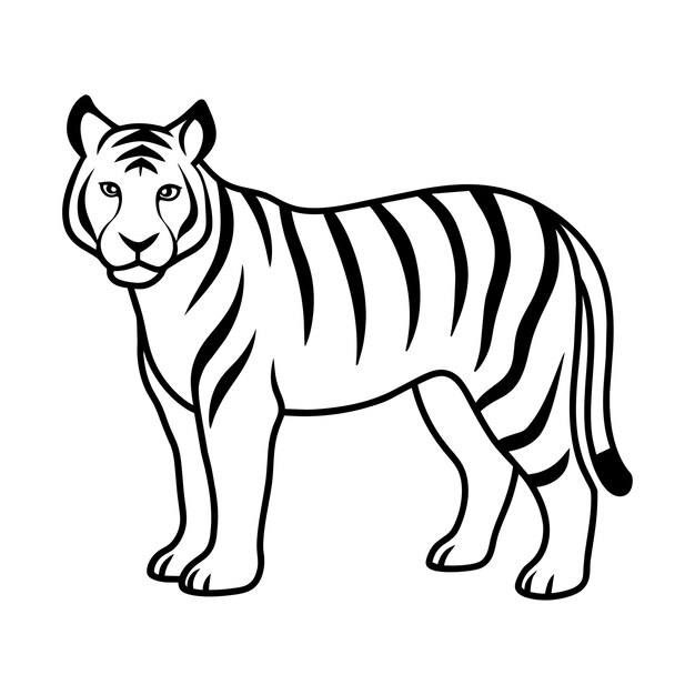 Vector line art illustration of a tiger in black and white