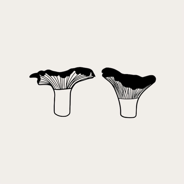 Line art magical mushrooms. Black line vector art.