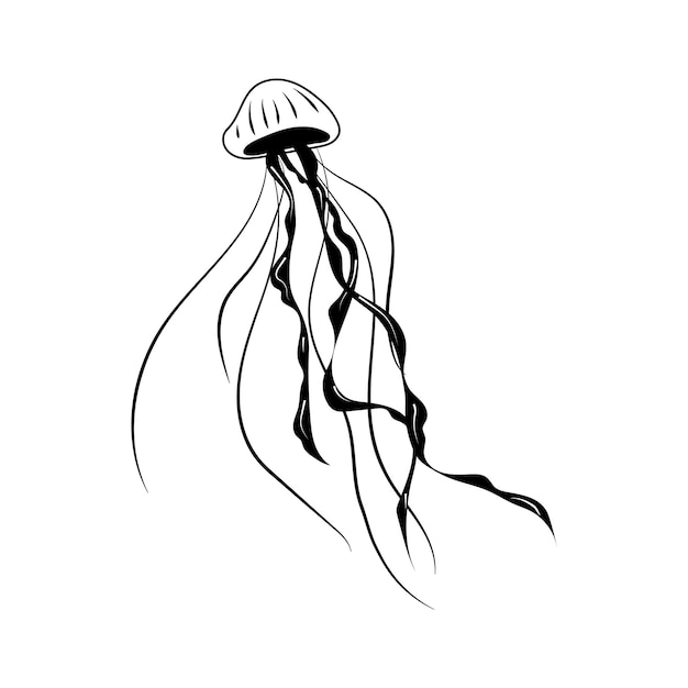 Line art one line jellyfish for decoration design Black line vector illustration