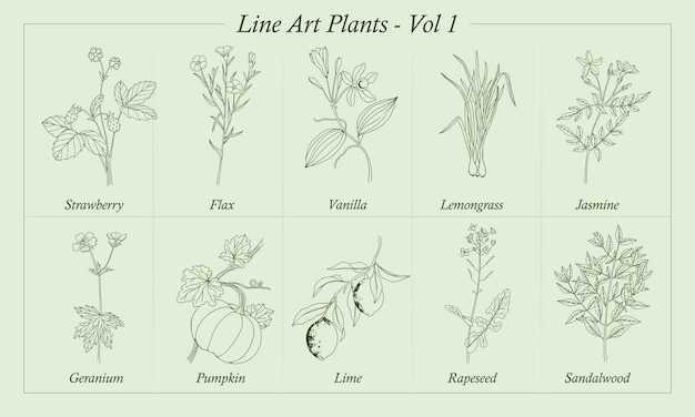 Line Art Plants Vol 1 in vectoren