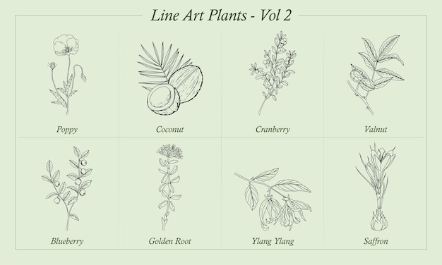 Line Art Plants Vol 2