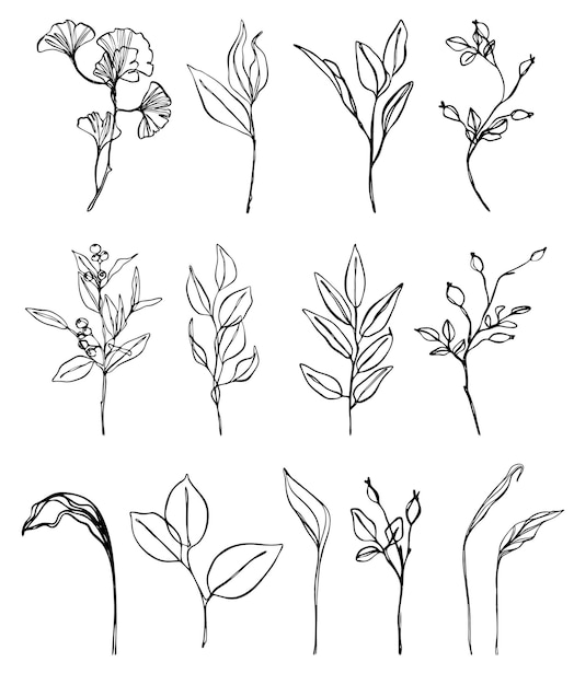 花の要素のラインアートセット。花、葉、果実