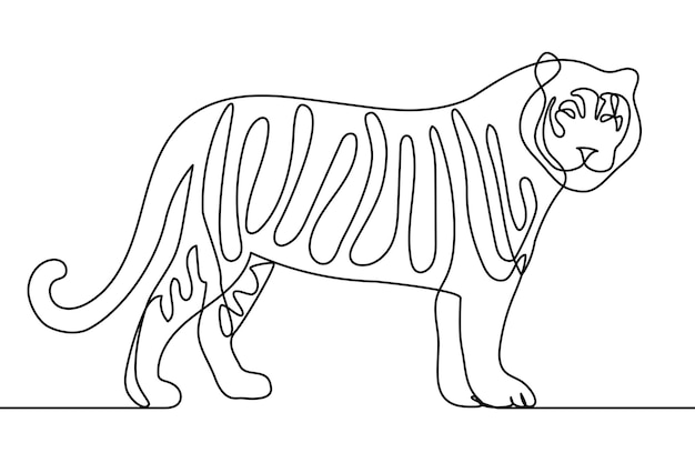 Vettore linea arte tigre in piedi in stile moderno vettore illustraion una linea disegno a mano