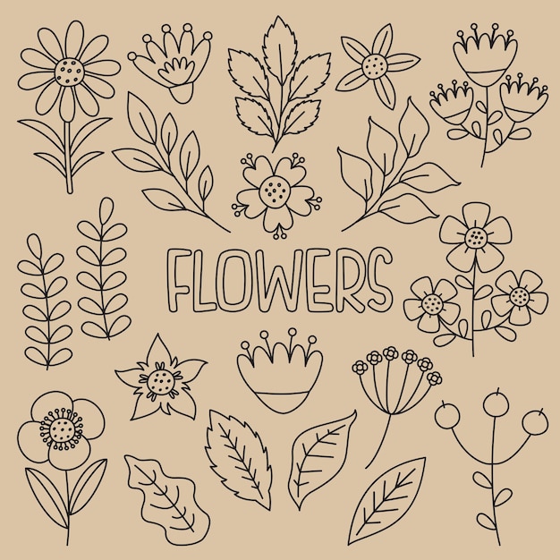 Vector line art tekening van bloemen en planten