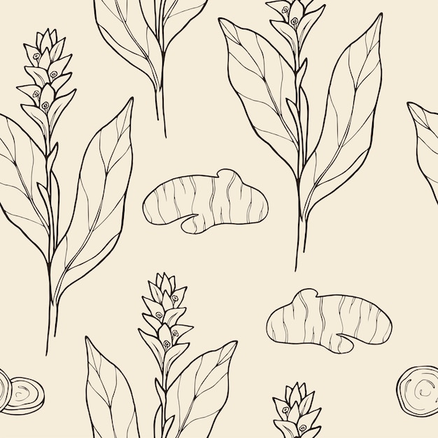 Vector line art turmeric plant seamless pattern