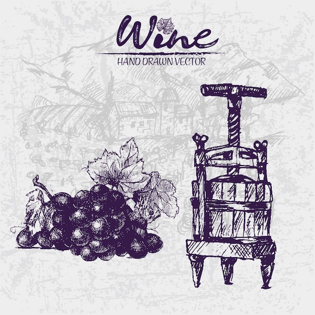 Vector line art vintage purple wooden wine barrels and grape illustration