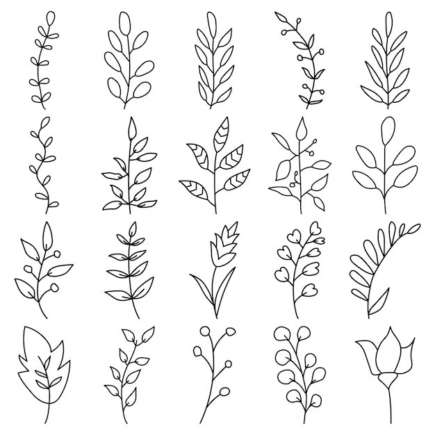 Collezione di elementi di line art wildflowers