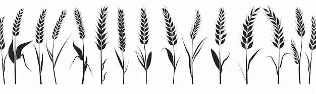 Vector a line of black and white wheat stalks