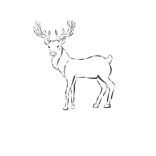 Line deer isolated on white background