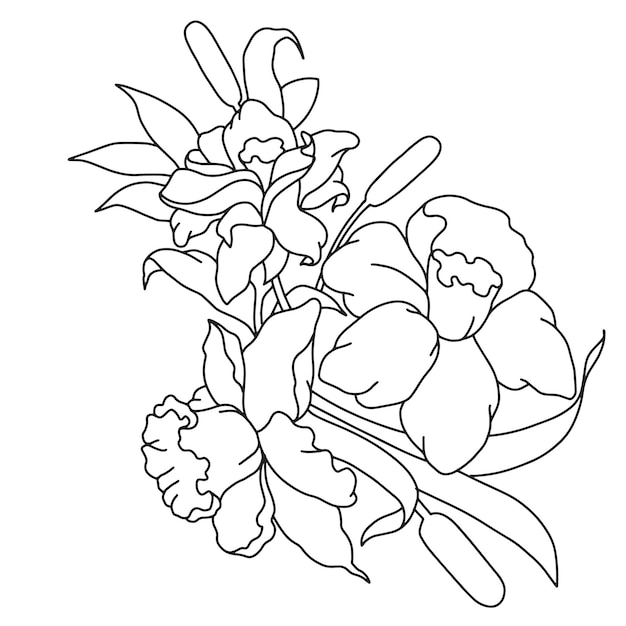 Line detail flowers floral sketch flower illustration