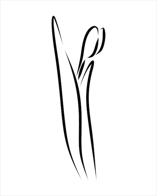 Line drawing of beauty flower