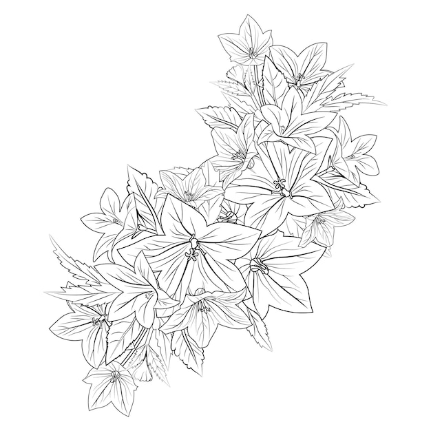 Line drawing of a bunch of flowers with the leaves and the words lily on the top.