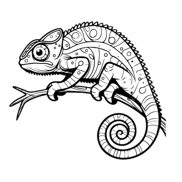 Line drawing of a chameleon in black and white for coloring vector