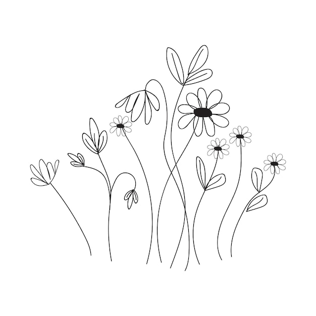 A line drawing of flowers on a white background