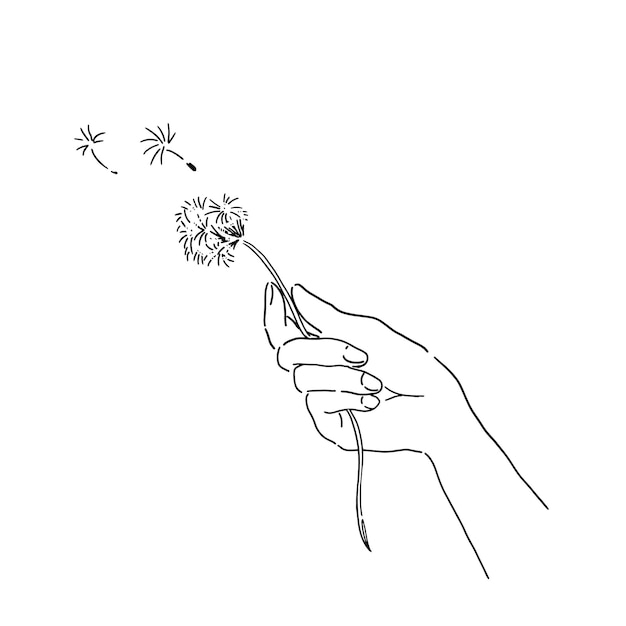 Line drawing of hand with a dandelion and fluffs