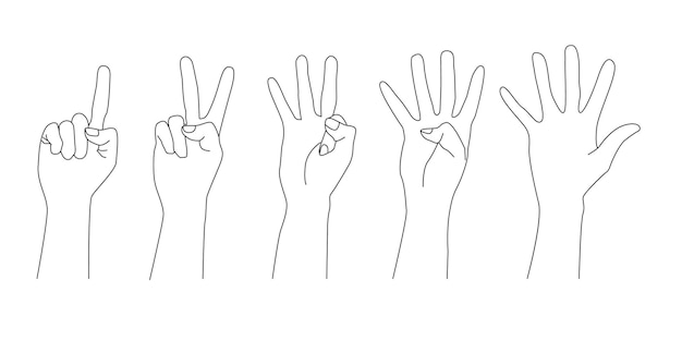 Vector a line drawing of hands with the number 3 on them.