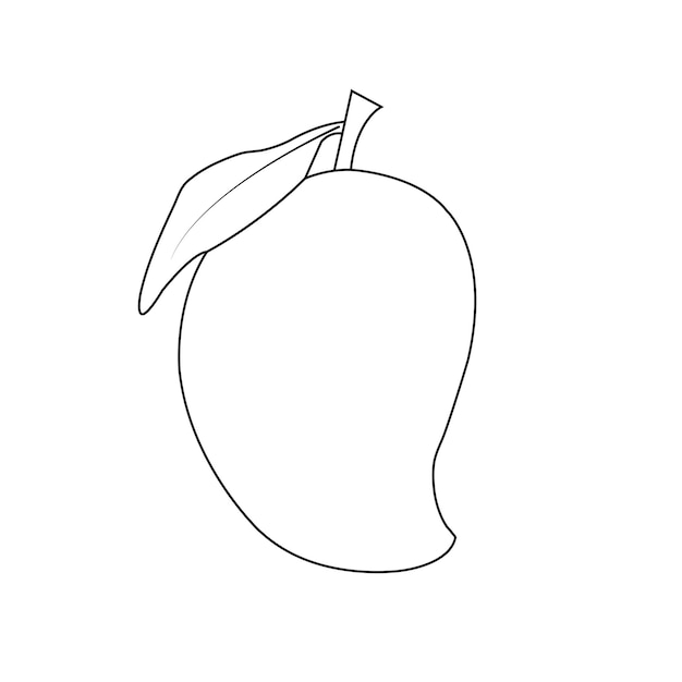 Vector line drawing of mango art for vector illustration