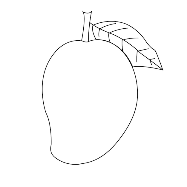 line drawing of mango art for vector illustration