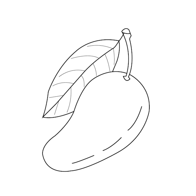 line drawing of mango art for vector illustration