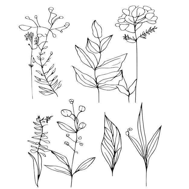 Vector a line drawing of plants with different flowers aesthetic flower doodles botanical drawings